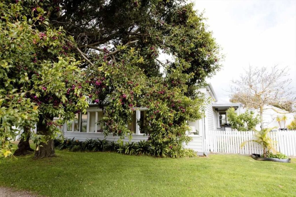 green grass and beautiful house under a large shady tree